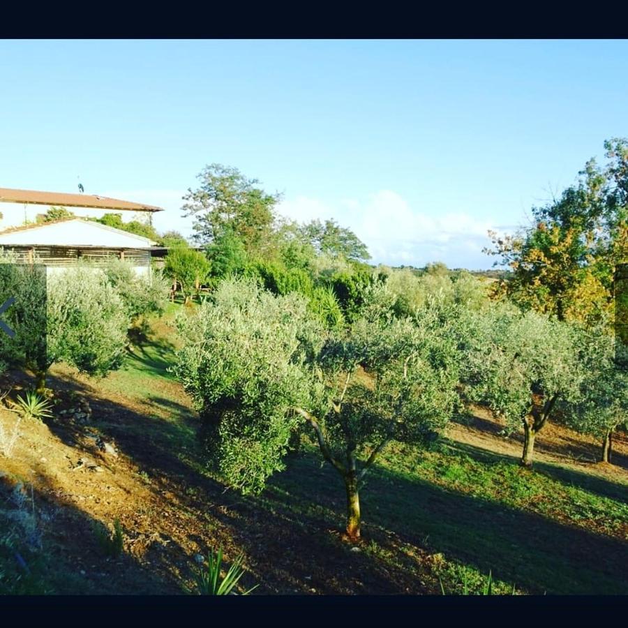 Agriturismo Colleverde Capalbio Bagian luar foto