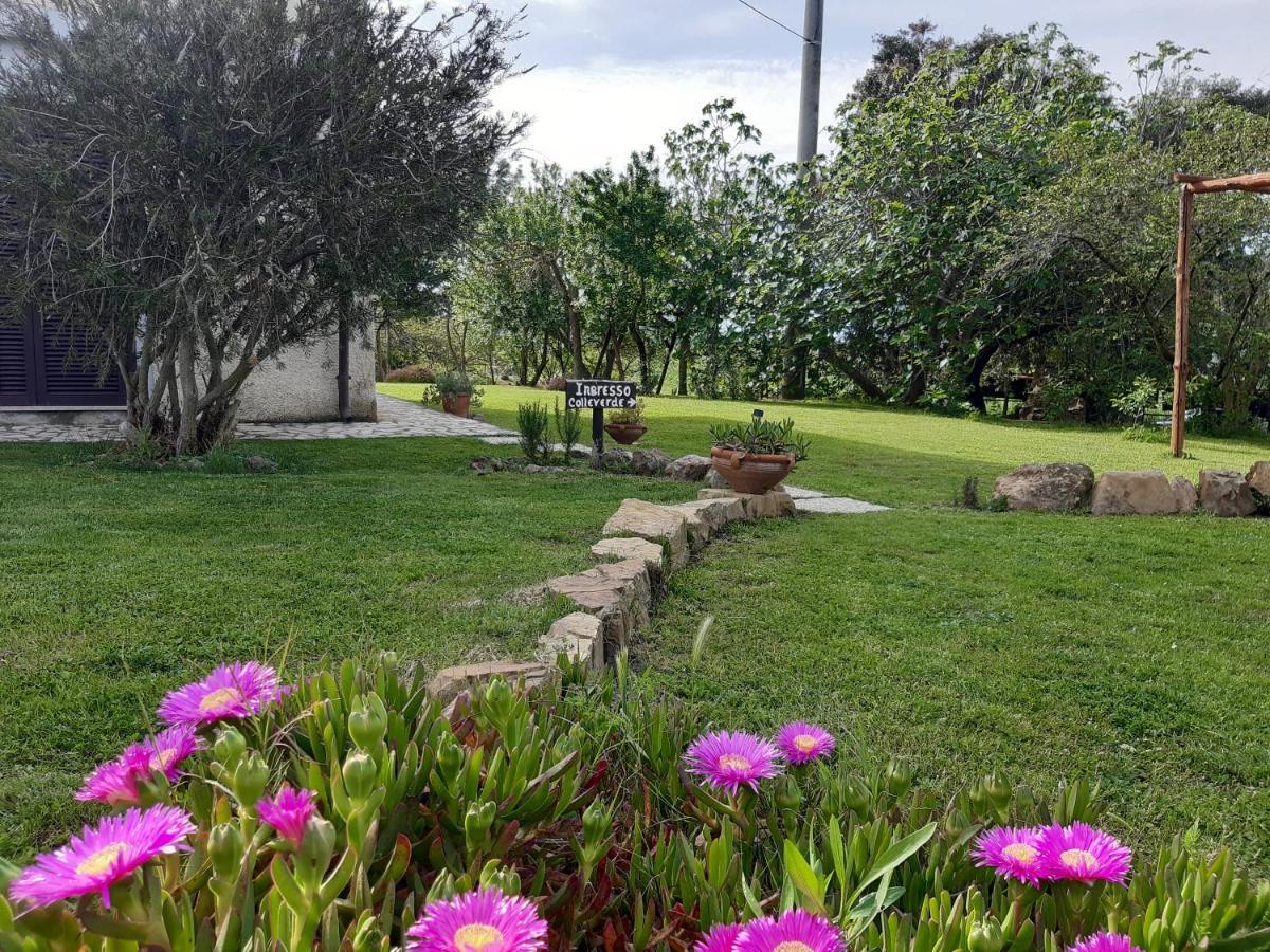 Agriturismo Colleverde Capalbio Bagian luar foto