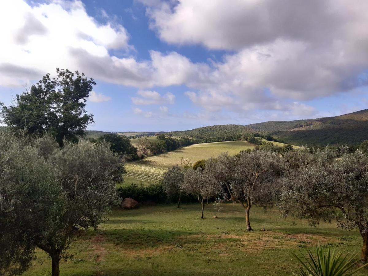 Agriturismo Colleverde Capalbio Bagian luar foto