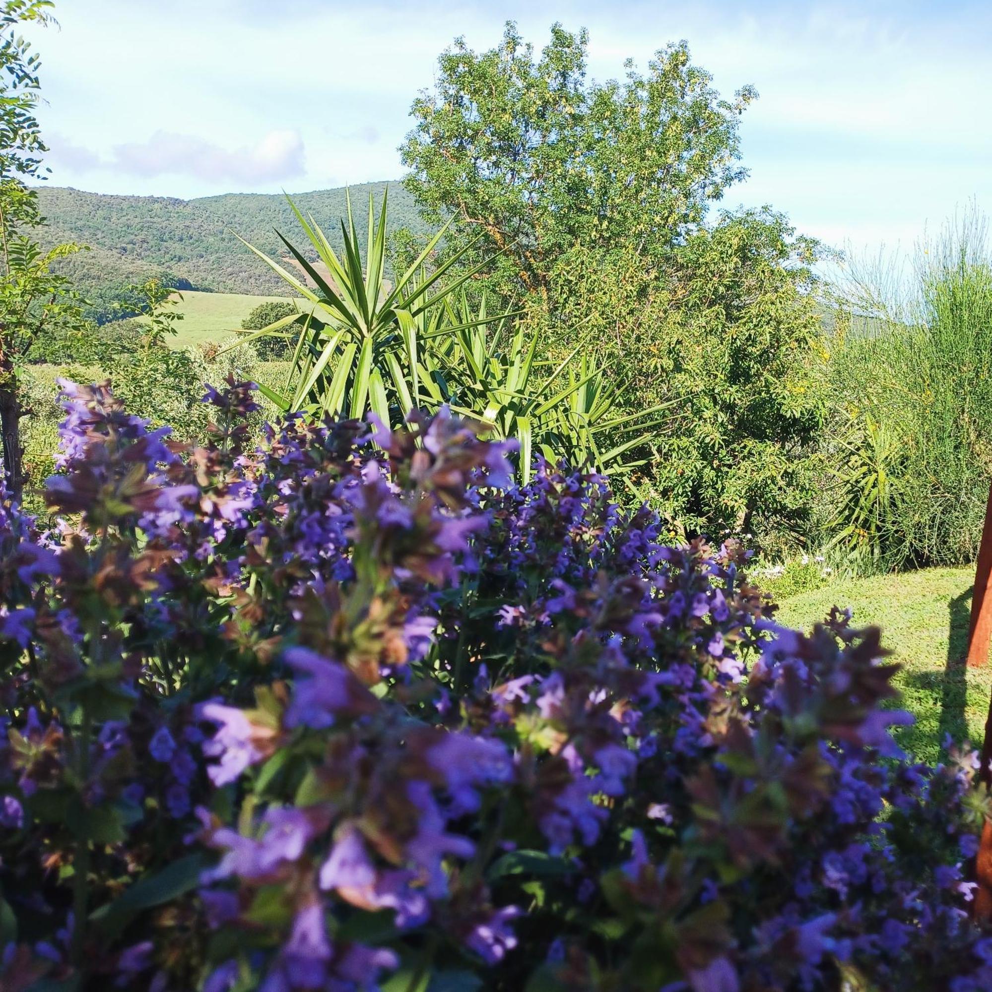 Agriturismo Colleverde Capalbio Bagian luar foto